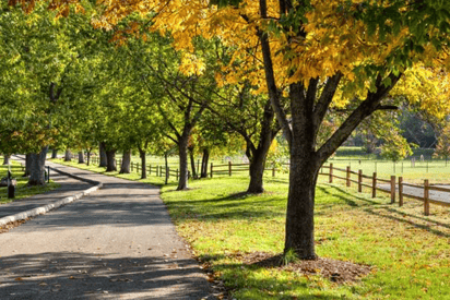 Greenway Trails l Franklin, Indiana